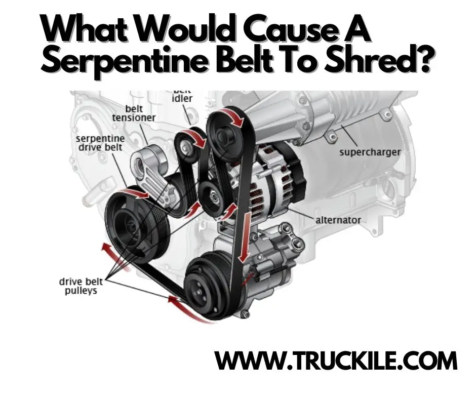 what causes a serpentine belt to shred