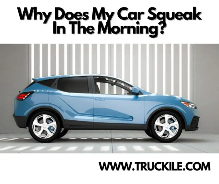 Why Does My Car Squeak In The Morning?
